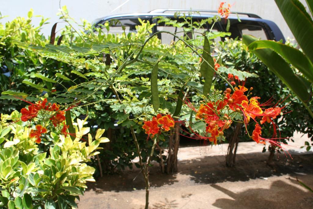 Auberge Keur Diame Dakar Exterior photo