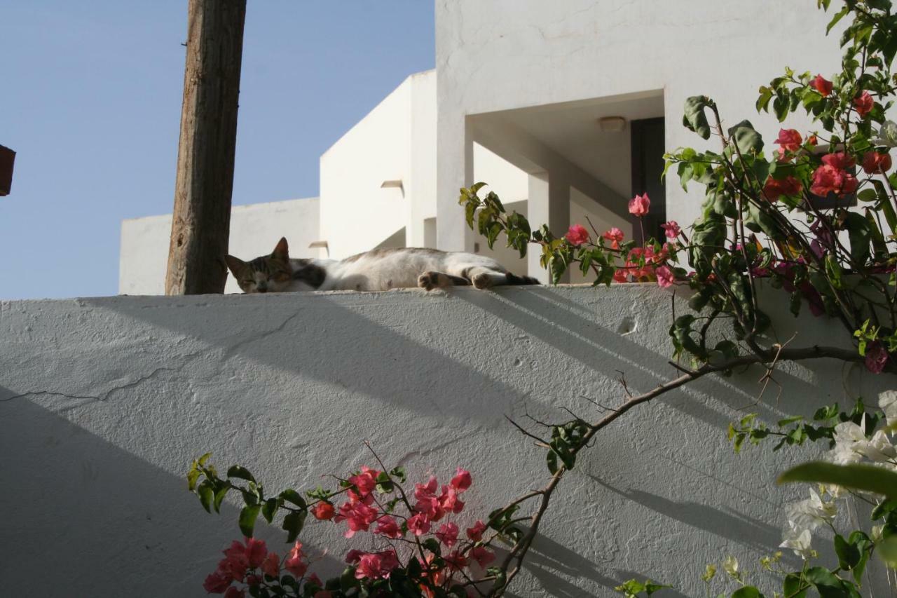 Auberge Keur Diame Dakar Exterior photo