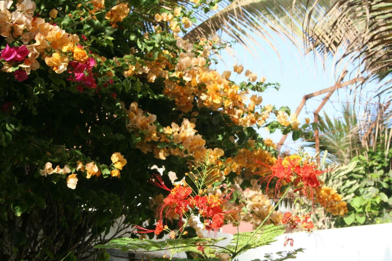 Auberge Keur Diame Dakar Exterior photo